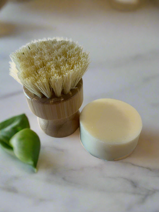 dish soap bar and scrubbing brush
